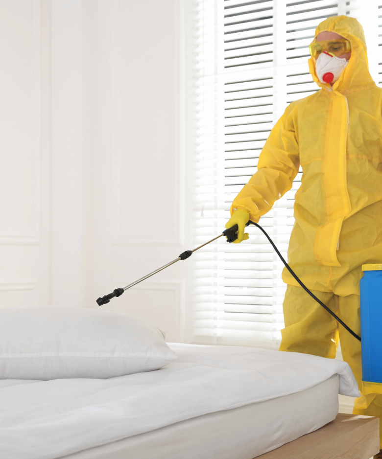 Professional Pest Control Team in Nailsworth